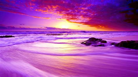 Purple Beach Sunset 4k Hd Wallpapers Hd Wallpapers Id