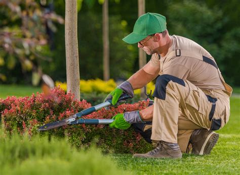 3 Reasons To Hire A Professional Landscaping Company Wooster Oh