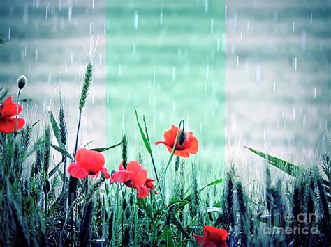 Wheat Field In The Rain Photograph By Gabez Art Pixels