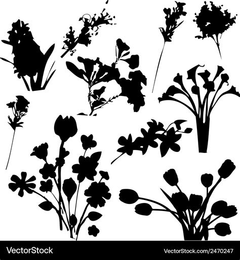 Flowers Silhouettes Royalty Free Vector Image Vectorstock