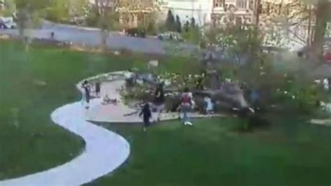 Dramatic Video Tree Falls On Boys As They Play In Park Abc News