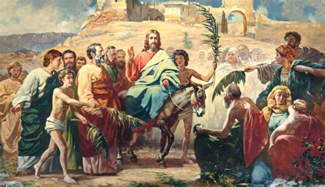 Fr Matthews Homily For Palm Sunday A Place For Your Soul In The