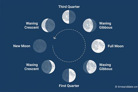 Moon Phases In Order With Pictures And Names Picturemeta