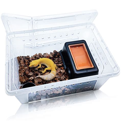 Buy Hamiledyi Reptile Breeding Box Set Portable Gecko Feeding Hatching Container Small Snake