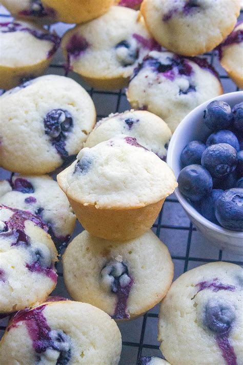 Mini Blueberry Lemon Muffins Kathryn S Kitchen