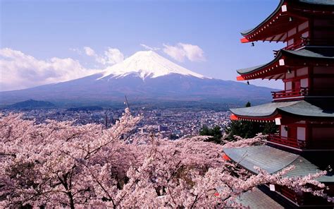 Cherry Blossoms And Mount Fuji Japan Wallpaper 2560x1600 987