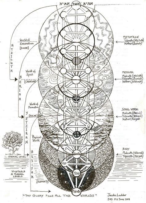 Pineal Gland Tree Of Life Jacobs Ladder Kabbalah Sacred Geometry