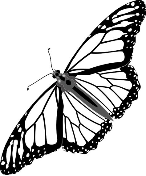 Free Vector Graphic Butterfly Monarch Insect Black Free Image On