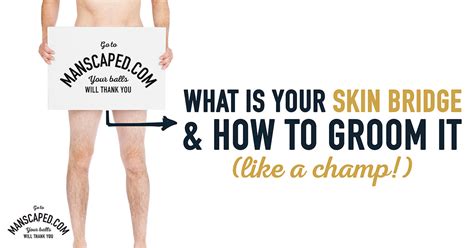 What Is Your Skin Bridge And How To Groom It Like A Champ Manscaped