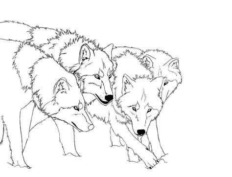 New free coloring pagesbrowse, print & color our latest. Anime Wolf Pack Coloring Pages - Coloring Home