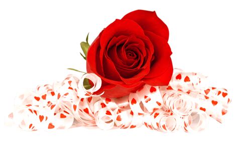 Choose from 42000+ valentines day graphic resources and download in the form of png, eps, ai or psd. Valentines Day Roses PNG Photo | PNG Arts