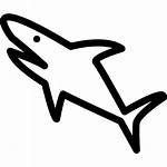Shark Icon Shape Line Fish Icons Carnivore