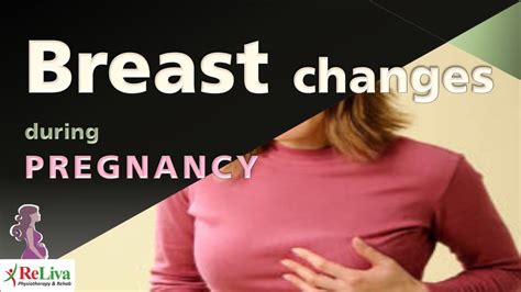 Breast Changes During Pregnancy Trimester By Trimester Antenatal Care Youtube