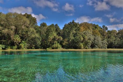 Rainbow Springs State Park Florida How To Kayak Swim And Visit These