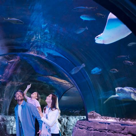 Sea Life Kansas City Aquarium At The Crown Center