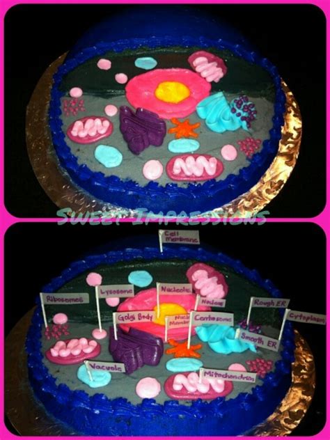 Maybe you would like to learn more about one of these? 1000+ images about Ideas & Cells on Pinterest | Cakes ...
