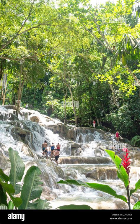Tourists Climbing Dunns River Falls Ocho Rios St Ann Parish Jamaica