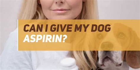 Can I Give My Dog Aspirin Is Aspirin Safe For Dogs Puppyfaqs