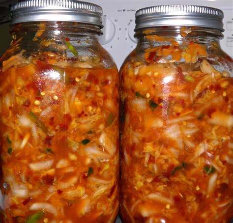 recipe korean kimchi lacto fermented recipes fermentation recipes korean kimchi