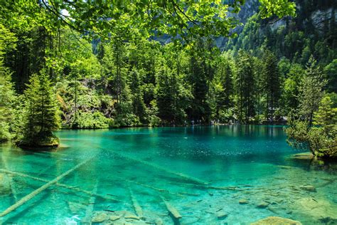 Faszinierender Blausee In Der Schweiz Urlaubsgurude