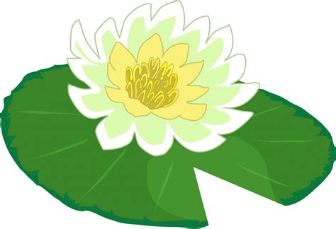 Collection Of Lily Pad Png Pluspng