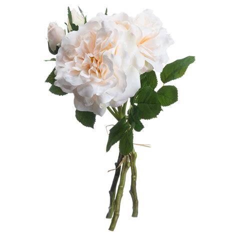 Peachy Cream Short Stem Rose Bouquet Wholesale By Hill Interiors