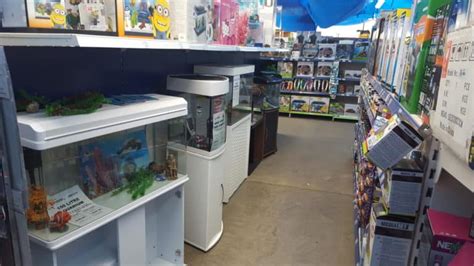 Real Aquatics Fish Store Review Tropical Fish Site