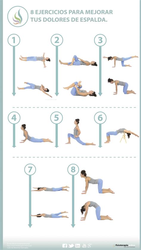 Aprende útiles ejercicios para aliviar tus dolores de espalda FisioOnline