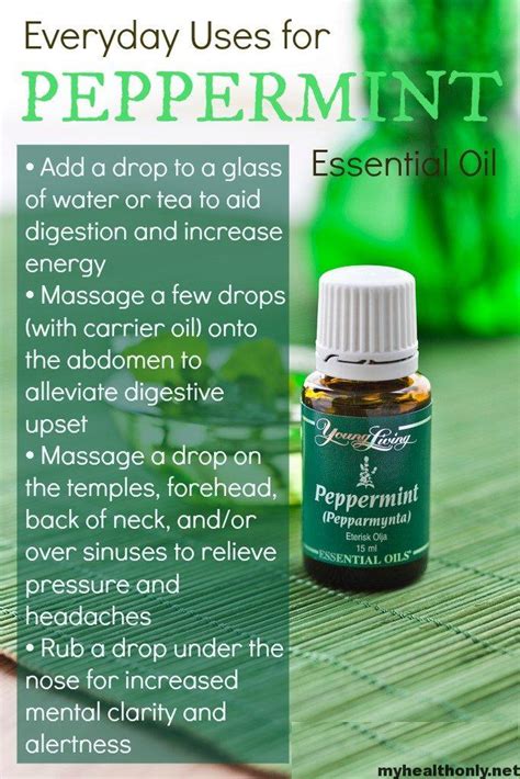 Incredible Benefits Of Peppermint Essential Oil My Health Only