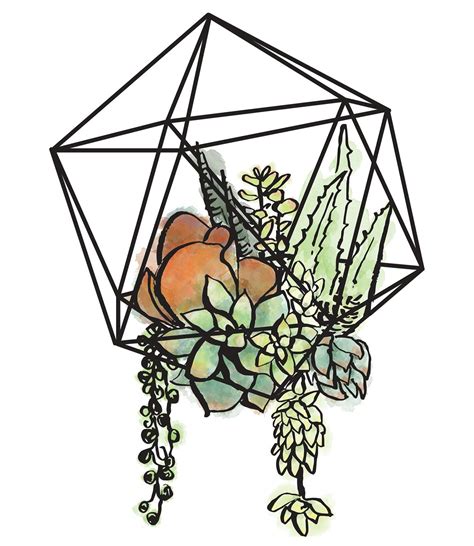 We did not find results for: Succulent Hanging Geometric | Plant drawing, Succulents ...
