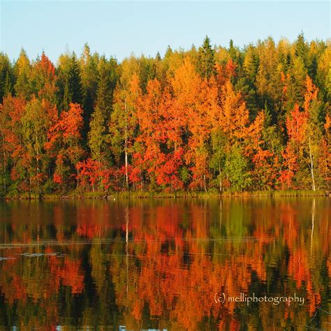 Finlands Fall Autumn Follow Me On Instagram Melliphotography