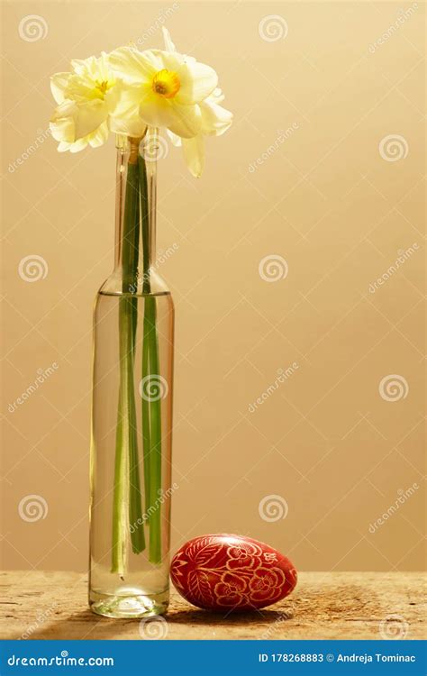 Easter Still Life With Daffodil And Egg Stock Image Image Of Bouquet