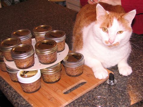 Recipes to help prevent diseases or medical conditions. Homemade canned cat food | Jimmy Cracked Corn