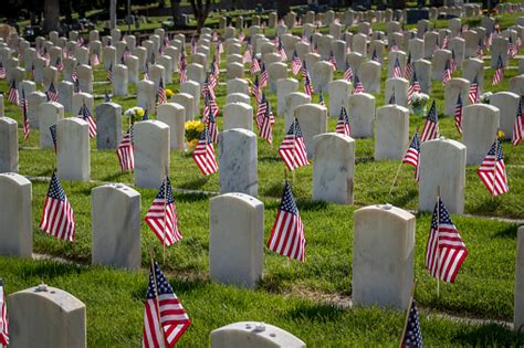 Military Grave Markers Stock Photo Download Image Now Istock