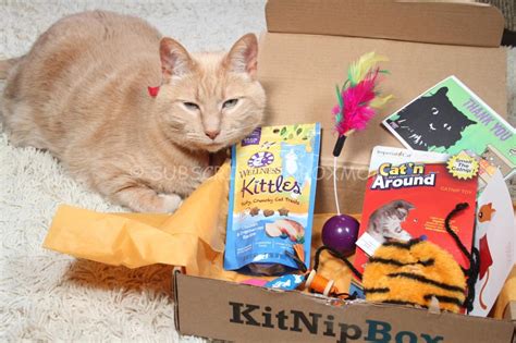 Some subscriptions even include cat accessories and other tools you'll find useful when taking care of your beloved furry friend. KitNipBox October 2014 Review - Save 15% - Cat ...