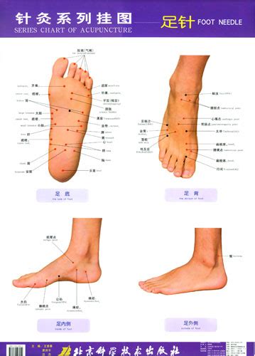 Why Are There Different Reflexology Charts Balancing Touch Reflexology
