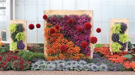 Chrysanthemums And More Celebrates Fall At Frederik Meijer Gardens