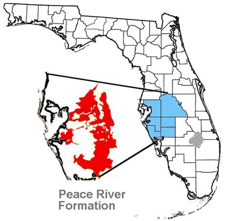 Peace River Formation Florida Map Peace River Formation Florida