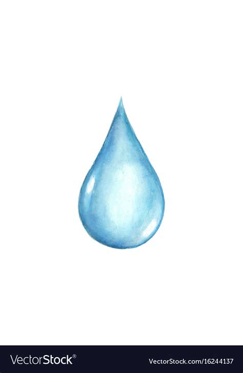 Watercolor Water Drop Isolated Royalty Free Vector Image
