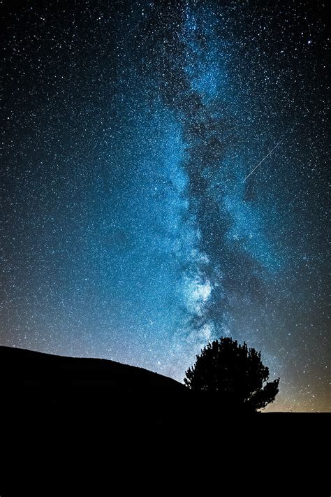 Night Tree Starry Sky Dark Milky Way Stars Hd Phone Wallpaper