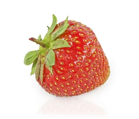 Sweet Red Strawberries Stock Image Image Of Refreshment 36944457