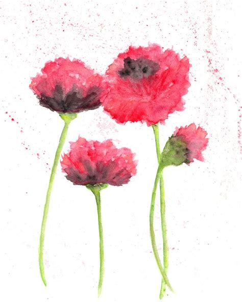 Three Red Flowers On A White Background With Watercolor Splashes In The