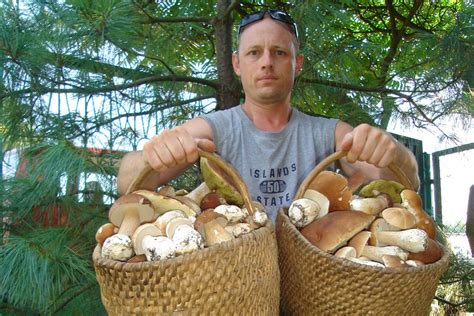 » JAN KOCHANOWSKI – fenomenalny grzybiarz ze stąporkowskich lasów.Paweł