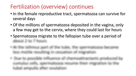 Solution Fertilization And Implantation Ppt Studypool