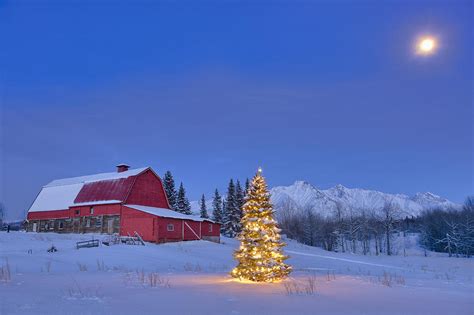 Lit Christmas Tree In A Snow Covered Photograph By Kevin Smith