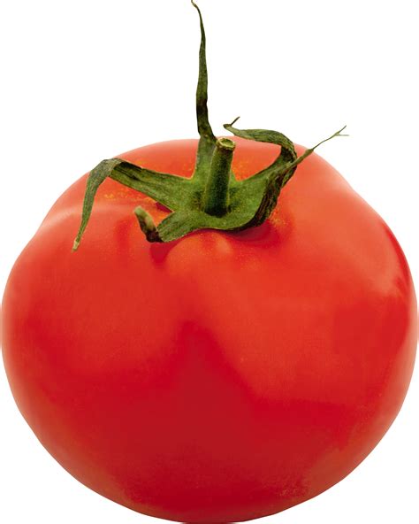 Tomato Png Transparent Image Download Size 1460x1826px