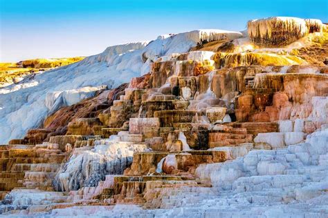 Mammoth Hot Springs Yellowstone What To See Map And Tips