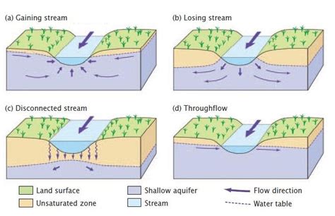 Types Of Stream Aquifer Interactions A Connected Gaining Stream B