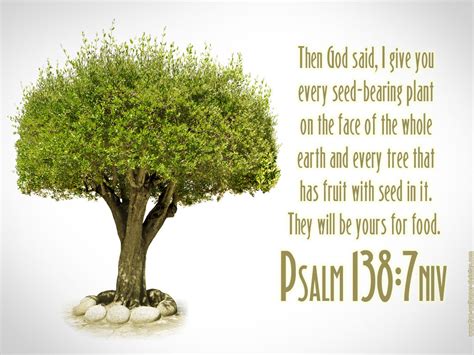 Bible Quotes On Trees Quotesgram