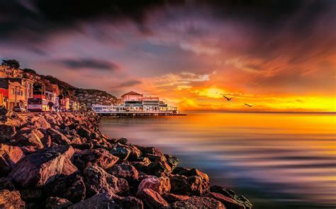 Wallpaper 1920x1200 Px Birds California City Clouds Coast